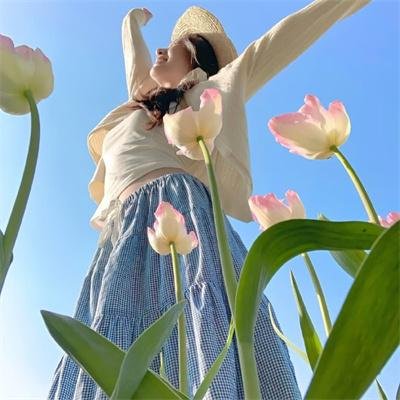 曼谷风月宝鉴